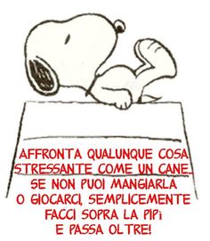 f30a1c30a084145f0fa8e278c22ac711